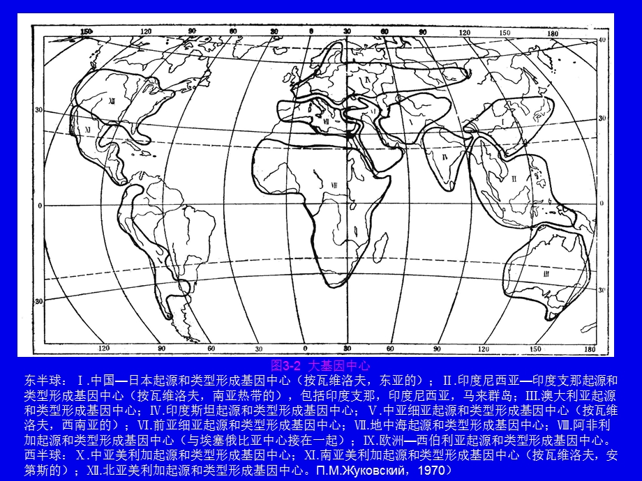 《观赏植物起源》PPT课件.ppt_第3页