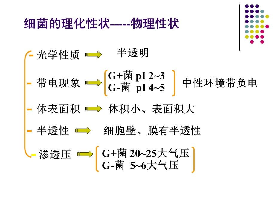 《细菌的生理钟》PPT课件.ppt_第3页