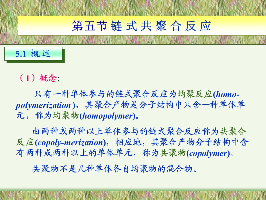 《链式共聚合》PPT课件.ppt_第2页