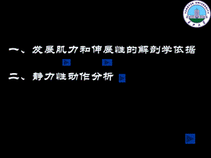 《静力性动作分析》PPT课件.ppt