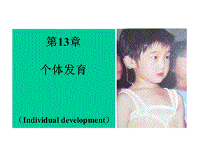 《遗传个体发育》PPT课件.ppt