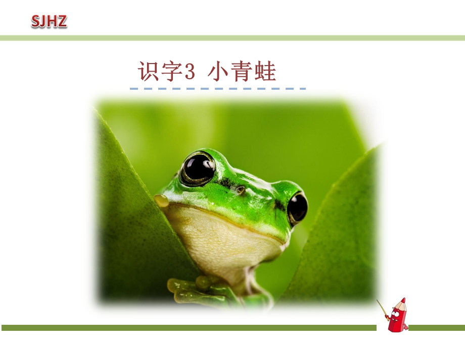 《识字小青蛙》PPT课件.ppt_第1页