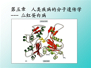 《遗传学医用》PPT课件.ppt