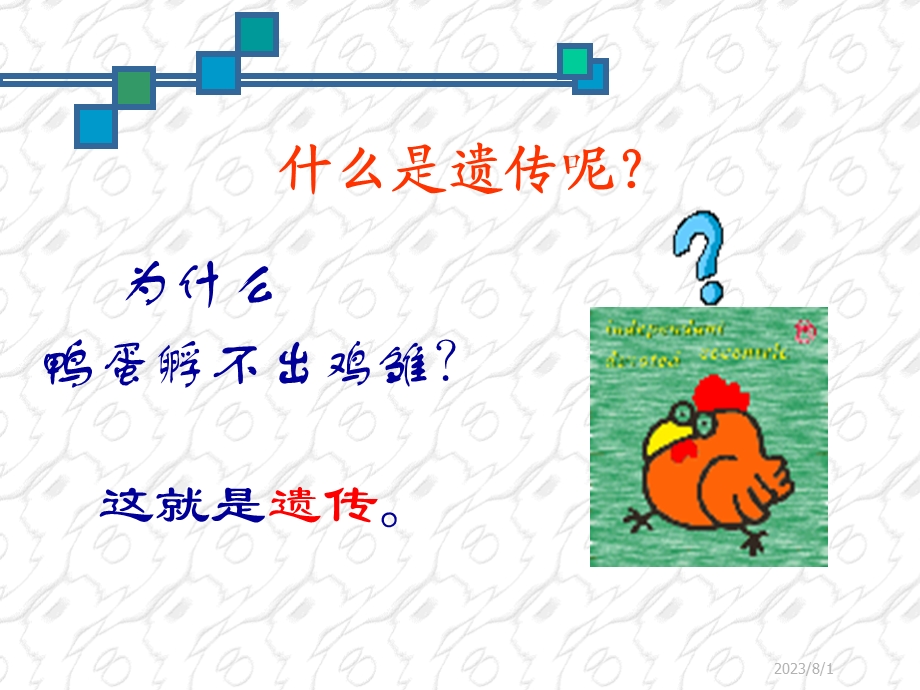 遗传与优生.ppt_第3页