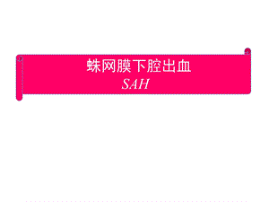 《蛛网膜下腔出血讲》PPT课件.ppt