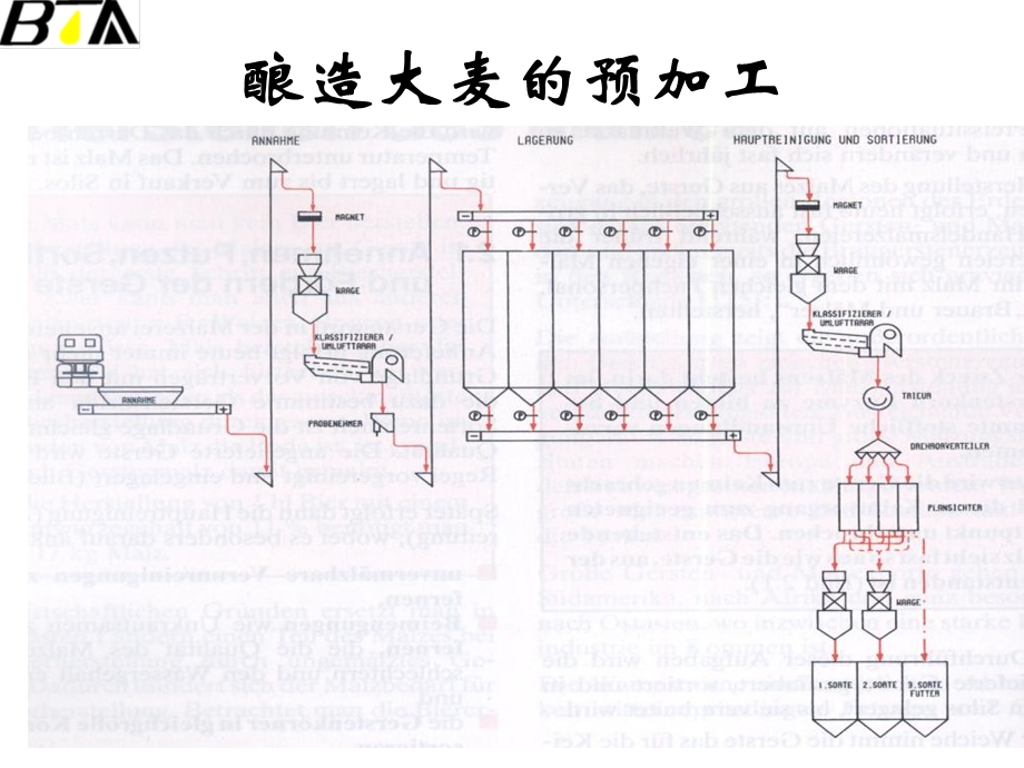 《制麦酿造大麦处理》PPT课件.ppt_第2页