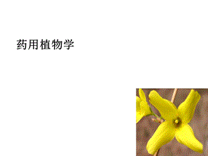 药用植物学绪论ppt课件.ppt