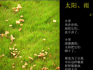 《金子美铃诗选》PPT课件.ppt