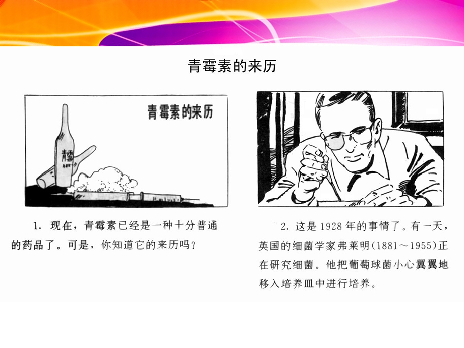 《青霉素类抗生素》PPT课件.ppt_第3页