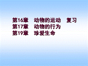 《运动行为复习》PPT课件.ppt