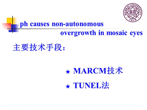 《细胞信号转到》PPT课件.ppt