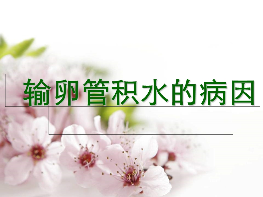 《输卵管积水的病因》PPT课件.ppt_第1页