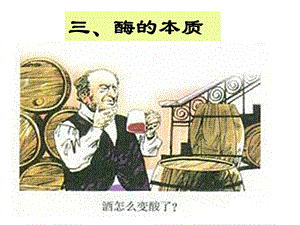 《酶的本质六班》PPT课件.ppt