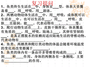 《脊椎动物分类》PPT课件.ppt