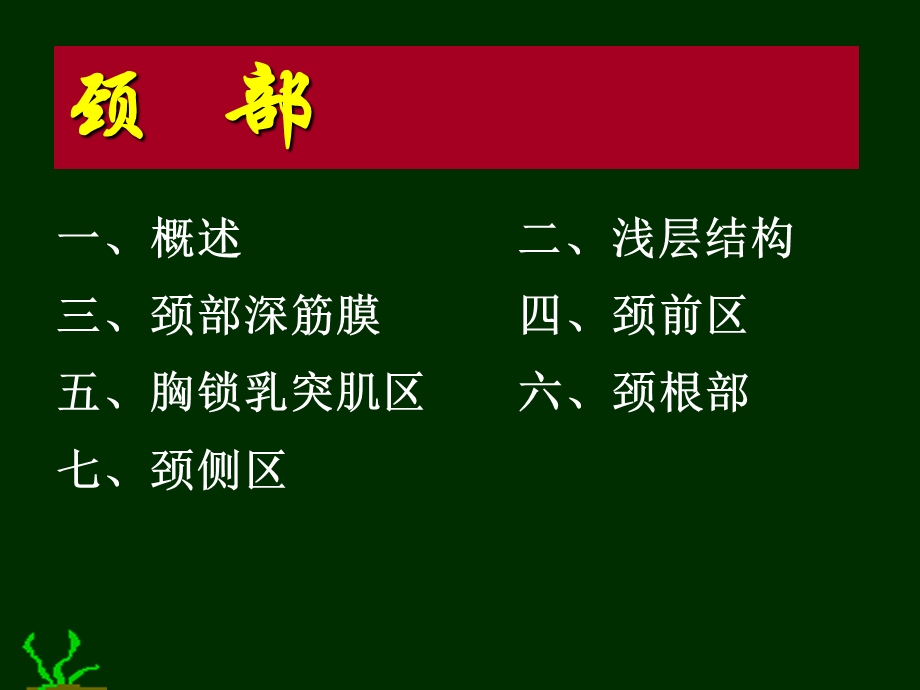 《颈部脊柱区》PPT课件.ppt_第1页