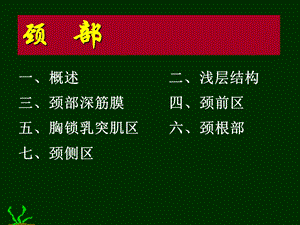 《颈部脊柱区》PPT课件.ppt