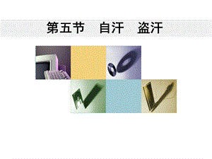 气血津液病证自汗盗汗.ppt