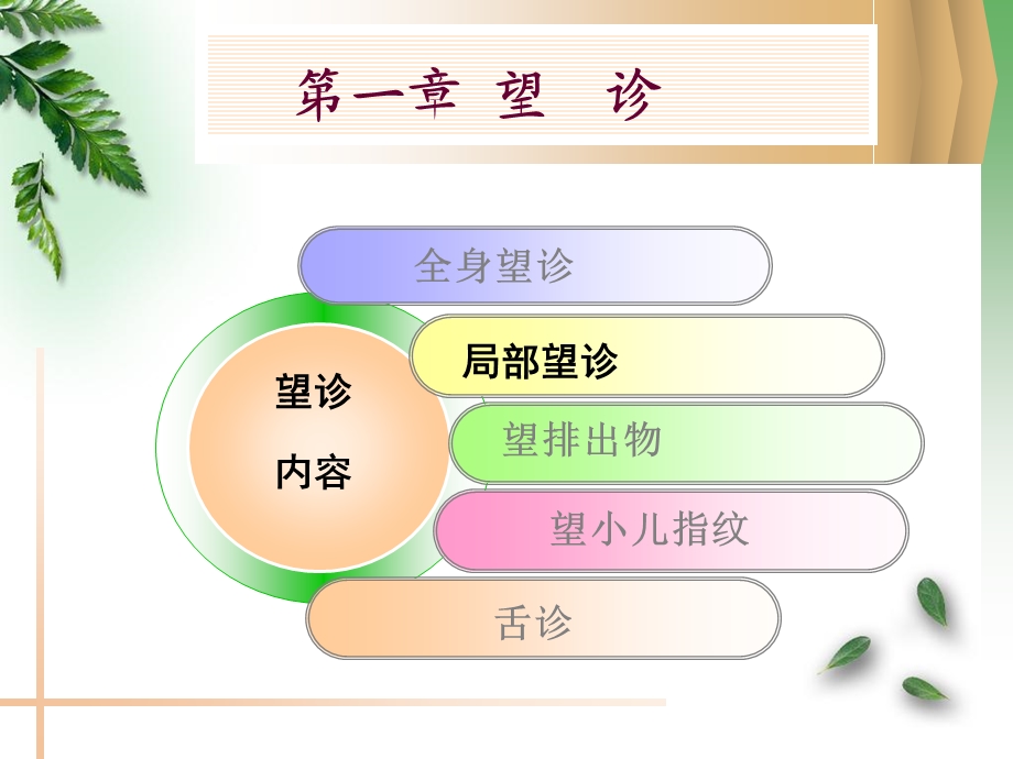 《望诊局部望诊》PPT课件.ppt_第2页