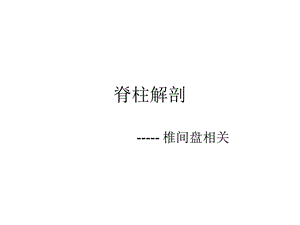 《脊柱腰段解剖》PPT课件.ppt