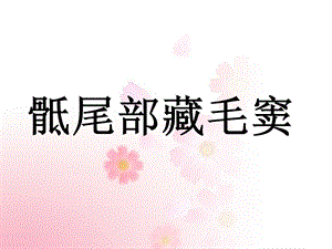 《骶尾部藏毛窦》PPT课件.ppt