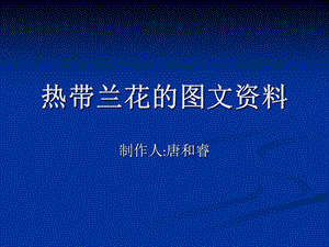 《热带兰花资料》PPT课件.ppt