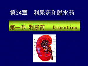 药理学 第2版24利尿药.ppt