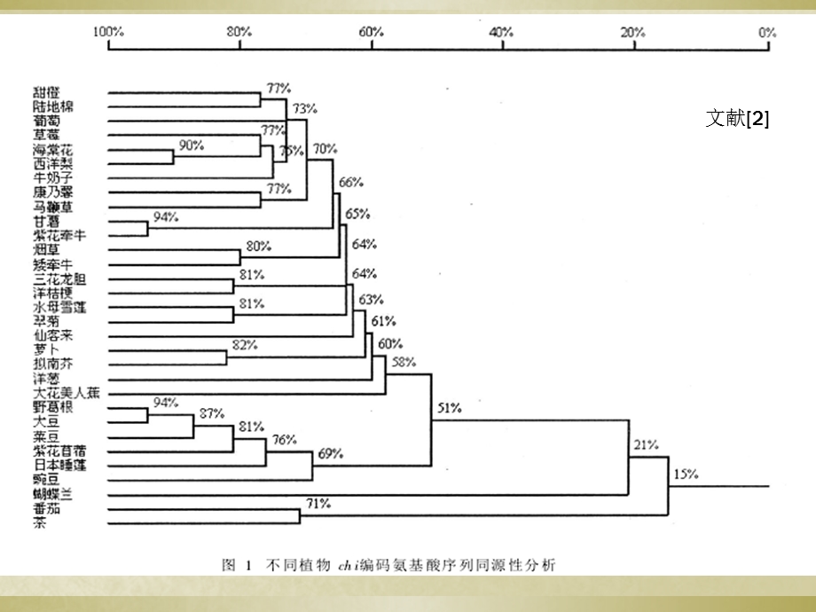 《查尔酮异构酶简介》PPT课件.ppt_第3页