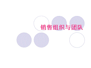 《销售组织与团队》PPT课件.ppt