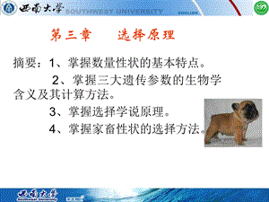 《选择原理》PPT课件.ppt