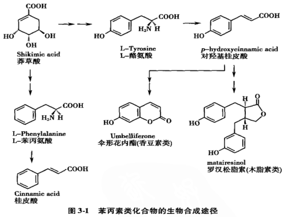 《苯丙素类化合物》PPT课件.ppt_第3页