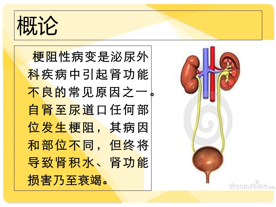 《沁尿系统梗阻》PPT课件.ppt_第2页