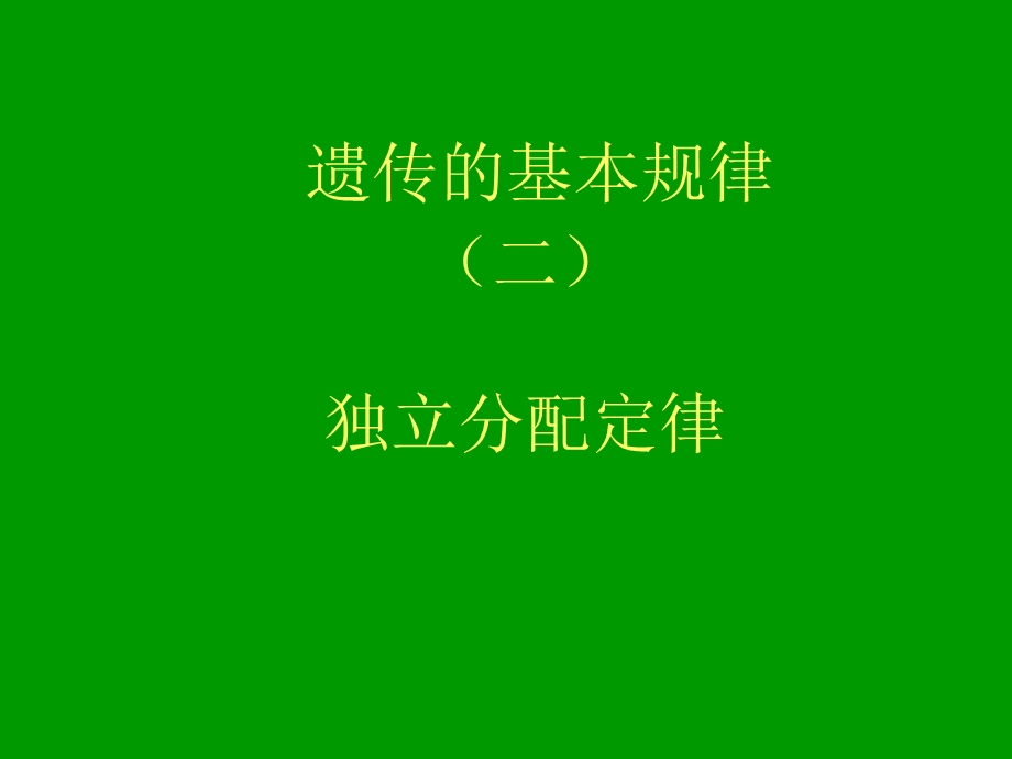 遗传规律2.ppt_第1页