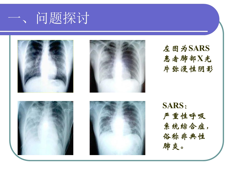 走近细胞().ppt_第2页