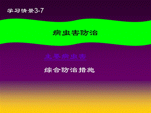 《蔬菜病虫害防治》PPT课件.ppt