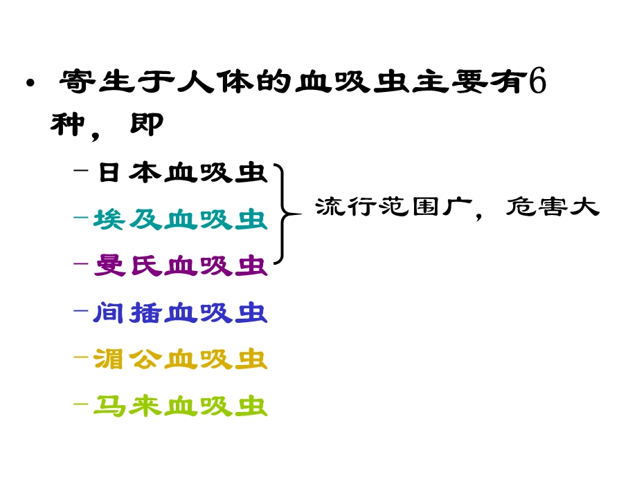 《蠕虫吸虫》PPT课件.ppt_第2页