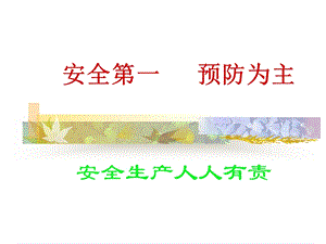 《安全生产用语》PPT课件.ppt