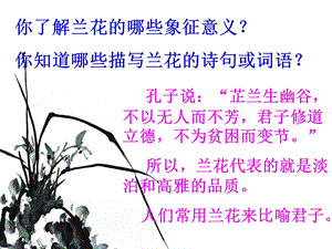 《失根的兰花》PPT课件.ppt