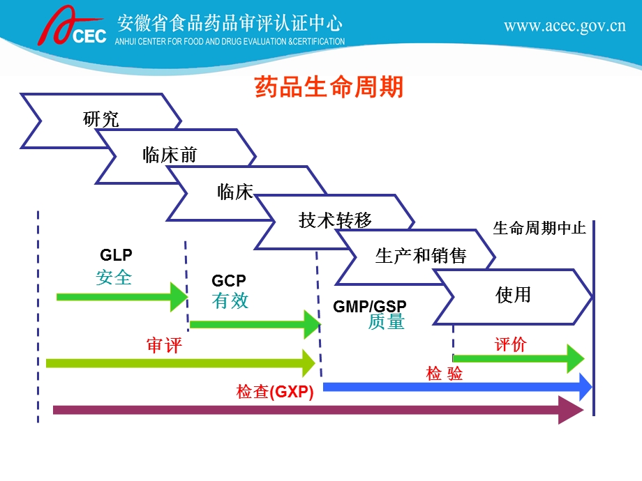 药品监管技术支撑体系.ppt_第3页