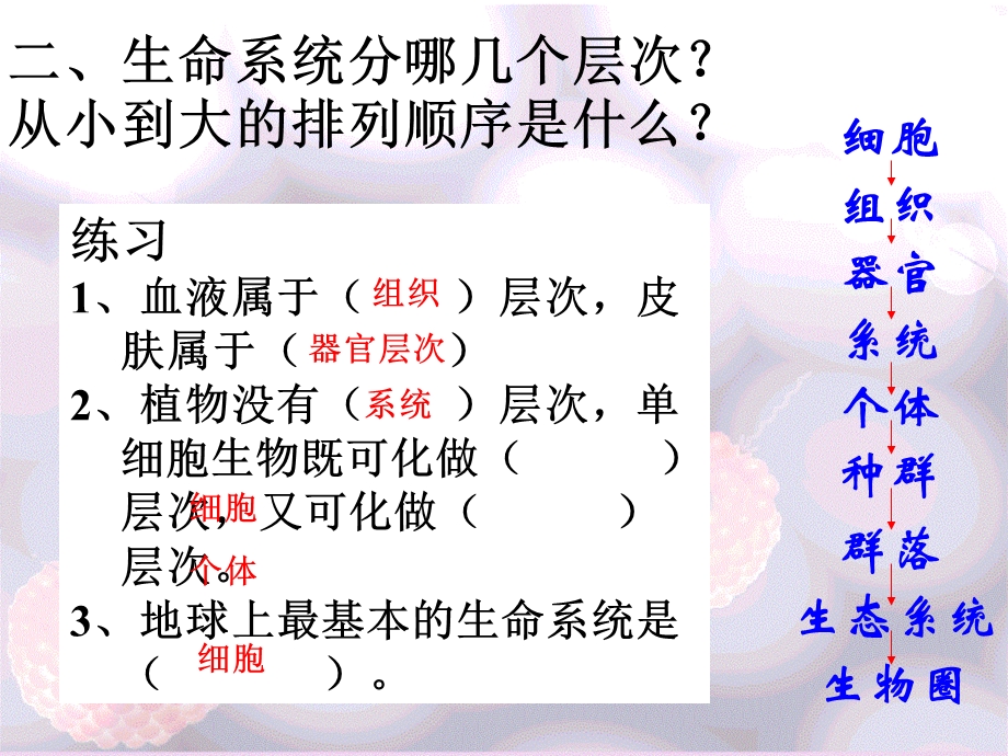 走近细胞(复习1).ppt_第3页