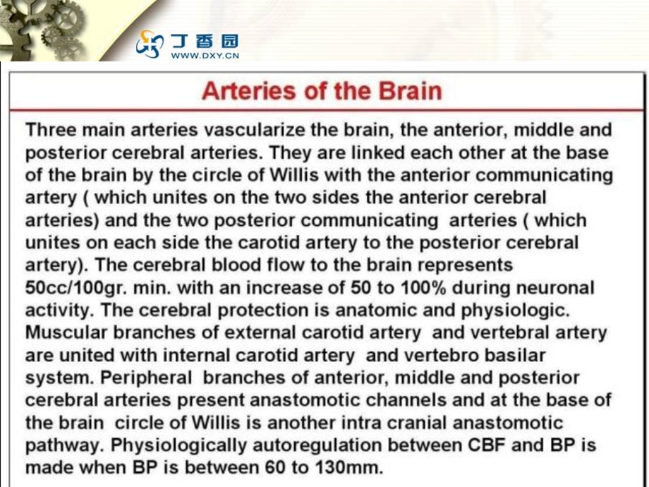 《脑血管解剖与造影》PPT课件.ppt_第2页