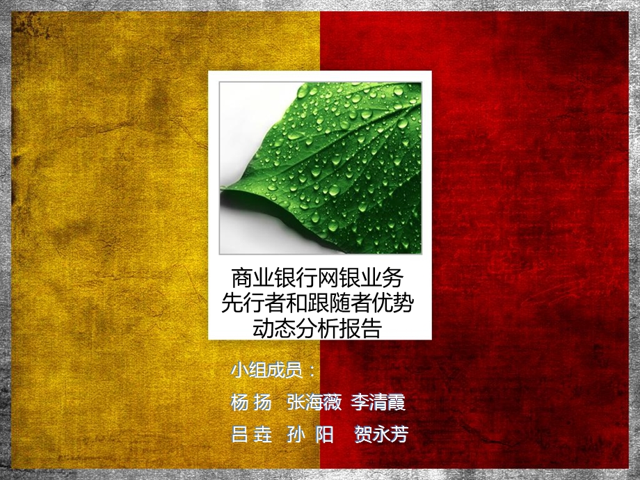 《网银案例分析》PPT课件.ppt_第1页