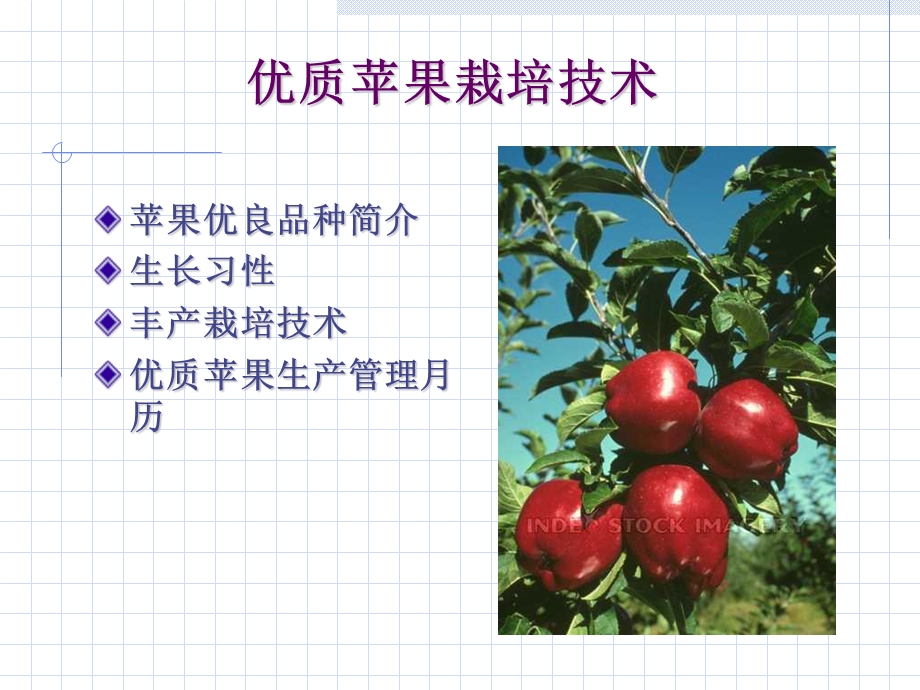 《苹果栽培技术》PPT课件.ppt_第2页