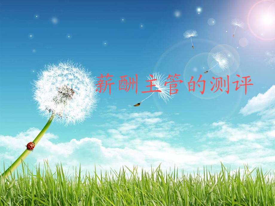 《薪酬主管测评》PPT课件.ppt_第1页