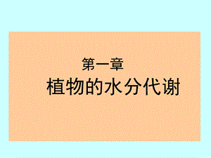 《植物的水分代谢》PPT课件.ppt