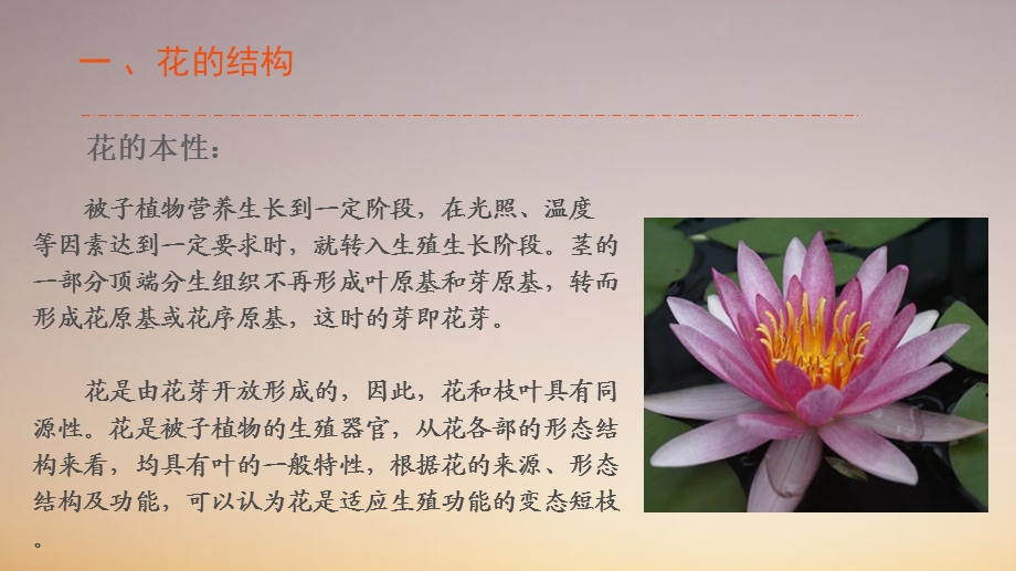 《花结构与花图示》PPT课件.ppt_第3页