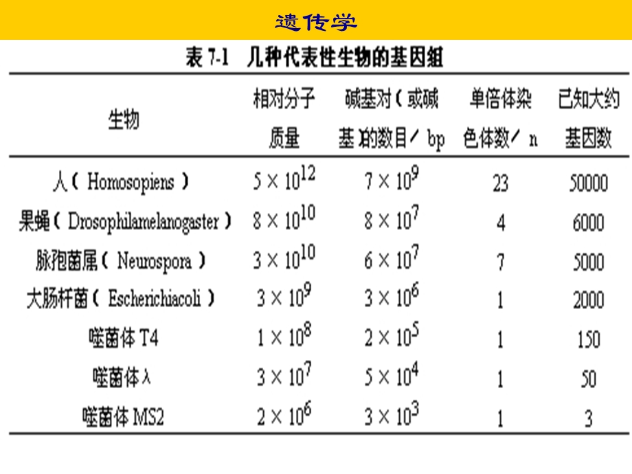 《遗传与发育》PPT课件.ppt_第3页