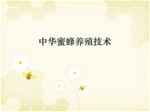 《蜜蜂养殖技术》PPT课件.ppt