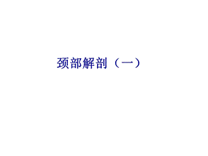 《颈部人体解剖》PPT课件.ppt