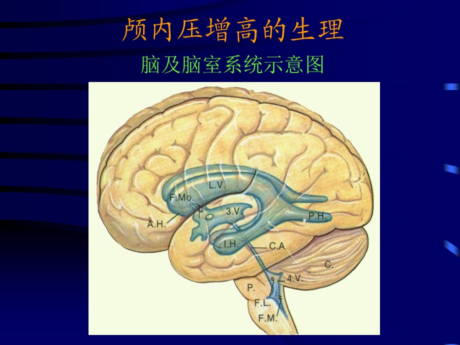 《颅内压增高症》PPT课件.ppt_第3页