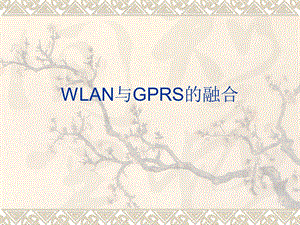 【大学课件】研究生信息通信：WLAN与GPRS的融合PPT.ppt